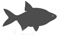 Fishes