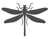 Odonata