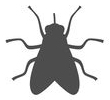 Diptera