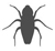 Insects