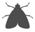 Lepidoptera