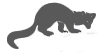 Mammals